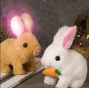 🥕 Bunby™ - Coelhinho mágico da Páscoa