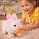 🥕 Bunby™ - Coelhinho mágico da Páscoa